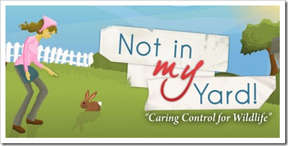 Not in My Yard blog